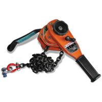 Gibbon Chain Hoist