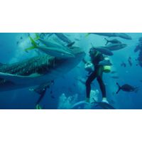 GoPro Super Suit for HERO7/HERO6/HERO5