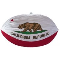 Grand Trunk State Flag Hammock