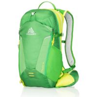Gregory Miwok 18 Daypack - Men's