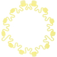 Grivel Crampon Crown