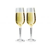 GSI Nesting Champagne Flute Set, Glasess