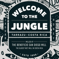 Hibear Artist Series w/ Welcome to the Jungle Coffee Holiday Bundle