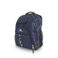 High Sierra Access Laptop Backpack