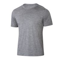 Ibex Odyssey Heather T-Shirt - Men's
