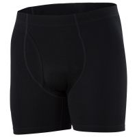 Ibex Woolies 1 Boxer Brief - Mens