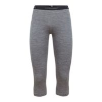 Icebreaker 200 Oasis LegleShort Sleeve - Women's