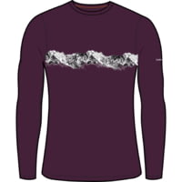 Icebreaker 200 Oasis Long Sleeve Remarkables Thermal Top - Men's