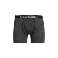 Icebreaker Merino 150 Anatomica Boxers w/ Fly - Men's