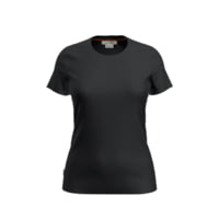 Icebreaker Central Classic Short Sleeve T-Shirt - Women's