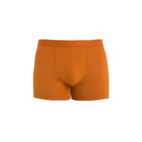 Icebreaker Cool-Lite Merino Anatomica Boxers - Men's