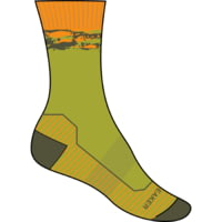Icebreaker Hike+ Medium Crew Sedimentary Socks - Men's
