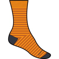 Icebreaker Lifestyle Fine Gauge Crew Stripe Socks - Men's