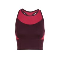 Icebreaker Meld Zone Long Sport Bra - Womens