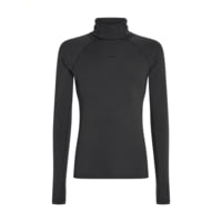 Icebreaker 300 MerinoFine Polar LS Roll Neck Baselayer Top - Men's
