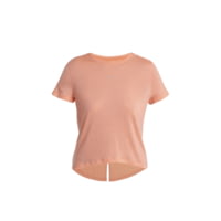 Icebreaker Merino 125 Cool-Lite Speed SS Tee - Women's