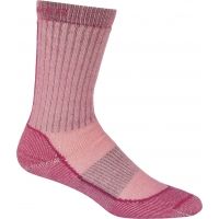 Icebreaker Outdoor Mid Crew Sock - Women's