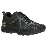 Icebug DTS2 GTX BUGrip Trail Running Shoe - Mens
