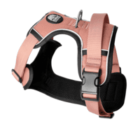 Name