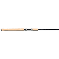 Name