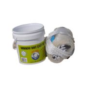 Lee Fisher International Joy Fish Cast Net - Minnow