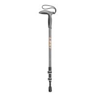Leki Wanderfreund Speedlock Trekking Poles