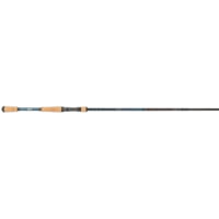 Lew's LFS Casting Rod