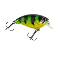 Lunkerhunt Impact Shock 2.5F Bait