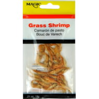 Magic Preserved Grass Shrimp
