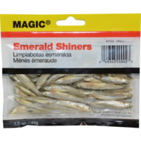 Magic Preserved Shiner Minnows