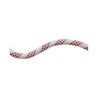 Mammut 11.0 Performance Static Climbing Rope