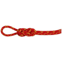 Mammut 8.0 Alpine Core Protect Dry Rope