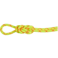 Mammut 9.5 Alpine Core Protect Dry Rope