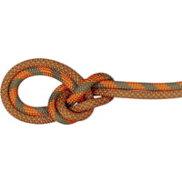 Mammut 9.5 Crag Dry Duodess Rope