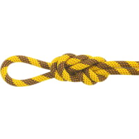 MAXIM CLIMBING ROPES Pinnacle Climbing Rope 9.5mm