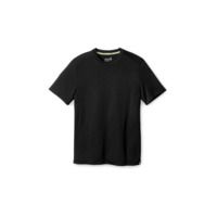 Smartwool Merino 150 Tees - Men's