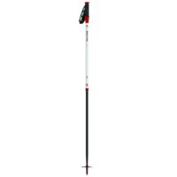 MSR Deploy TR-2 Snow Poles