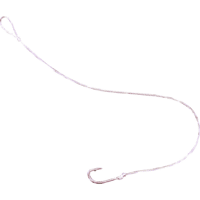 Name