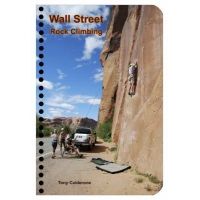 No Manufacturer Wall Street Rock Climbing
