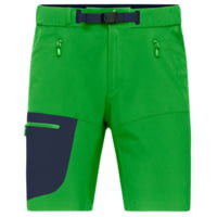 Norrona Falketind Flex1 Light Shorts - Men's