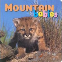 Ntl Book Network Babies Board Books