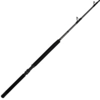 Penn Fishing Ally II Boat Conventional Rod