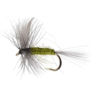 Perfect Hatch Dry Flies Blue Winged