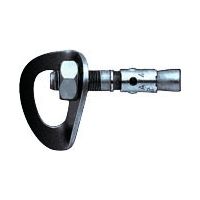 Petzl Coeur Goujon Anchor