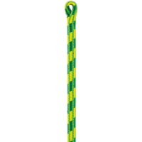 Petzl 12.5mm Control Rope