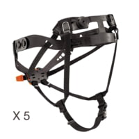 Petzl Panga Headbands - 5 Pack
