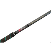 Phenix Abyss, Spinning Rod, 15-40#, Mod-Fast, 1 Pieces