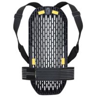 POC VPD System Back