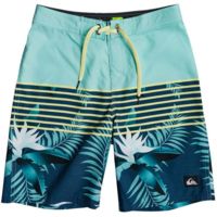 Quiksilver Everyday Lightning 18&quot; Boardshorts - Boy's