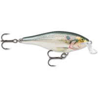 Rapala Shallow Shad Rap Crankbait, 3 1/2in, 3/8 oz, Floating